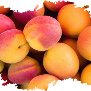 Apricots Producer & Supplier from Pakistan