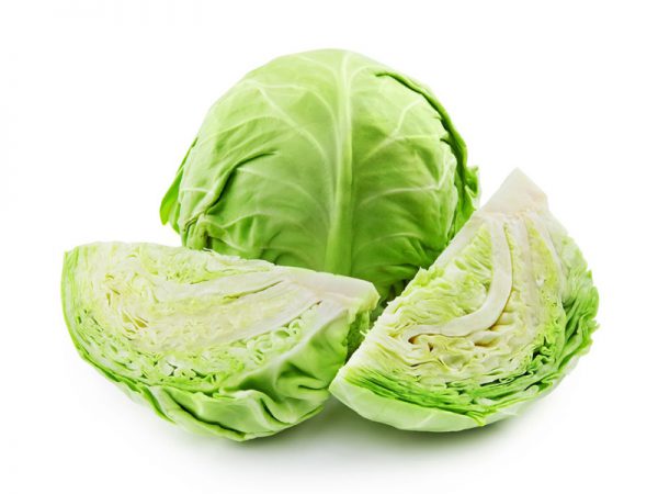 Cabbage Producer & Supplier from Pakistan