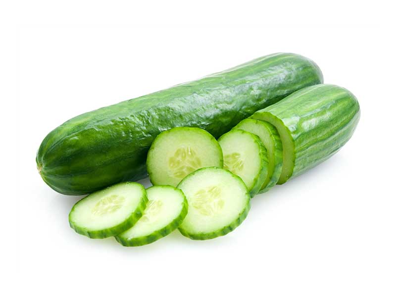 Cucumber Producer & Supplier from Pakistan