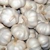 Garlic Producer & exporter from Pakistan