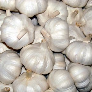 Garlic Producer & exporter from Pakistan