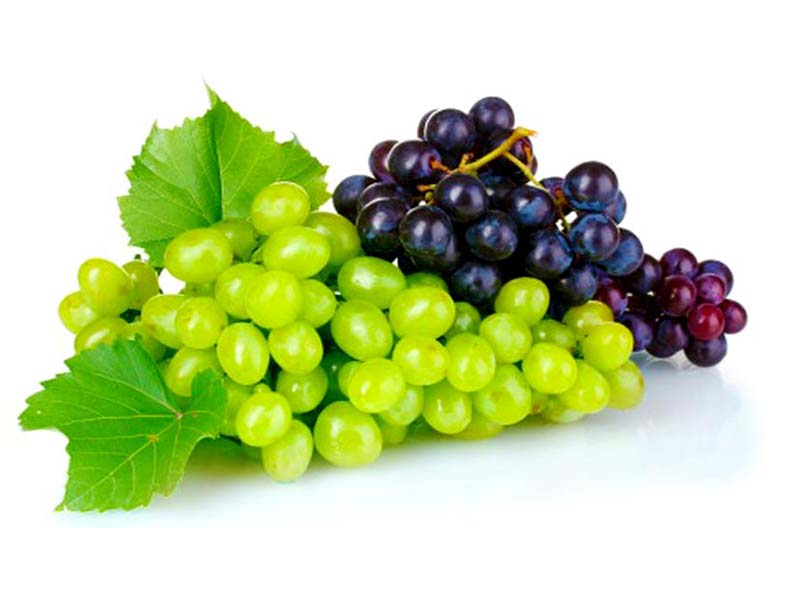 Grapes Producer & Supplier from Pakistan