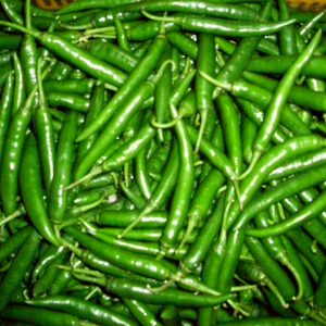 Green Chilli Producer & Supplier from Pakistan