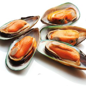 Green Mussel Supplier & Exporter from Pakistan