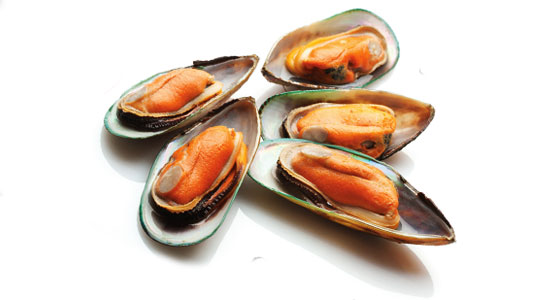 Green Mussel Supplier & Exporter from Pakistan