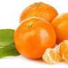 Mandarin / Orange Producer & Supplier from Pakistan