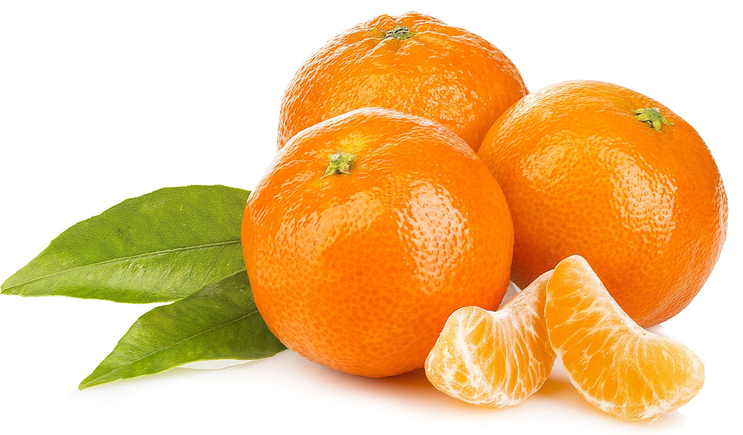 Mandarin / Orange Producer & Supplier from Pakistan