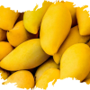 Mangoes Producer & Supplier from Pakistan