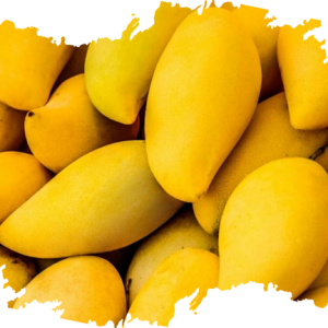 Mangoes Producer & Supplier from Pakistan