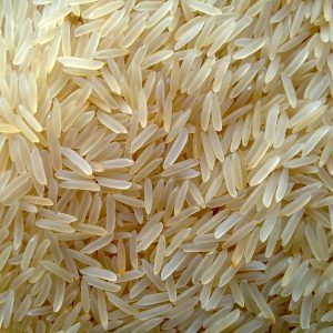 Parboiled rice (Sela) Producer & Exporter from Pakistan