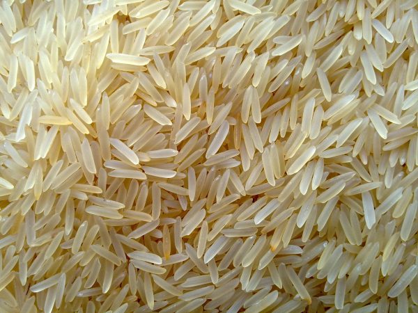 Parboiled rice (Sela) Producer & Exporter from Pakistan