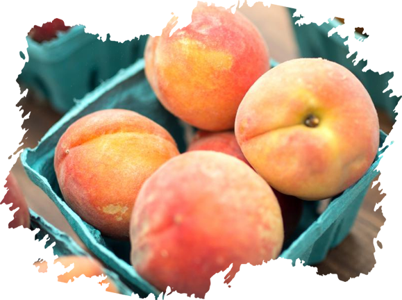 Peaches Producer & Supplier from Pakistan