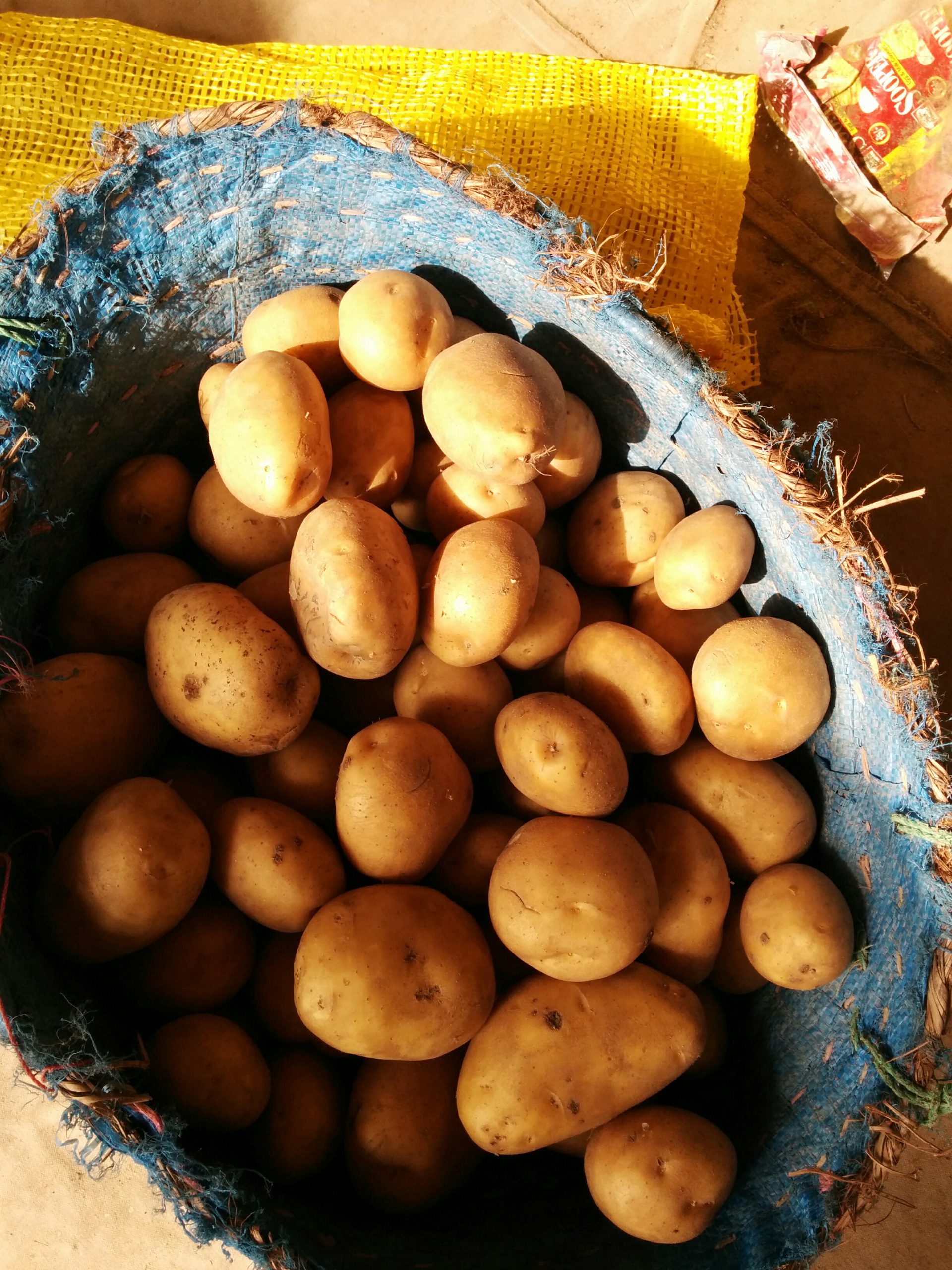 Potato (Unwashed) Producer & Supplier from Pakistan