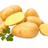 Sante Potatoes Producer & Supplier from Pakistan