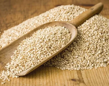 Sesame Export