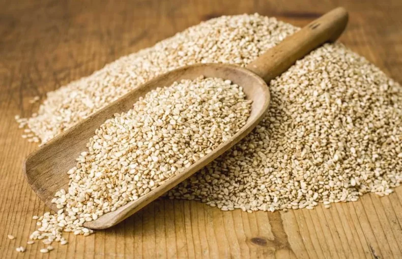 Sesame Export