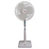 TCP Classic Fan Manufacturer & Supplier from Pakistan