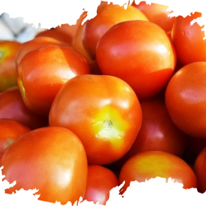 Tomatoes Producer & Supplier from Pakistan