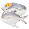 White Pomfret Supplier from Pakistan