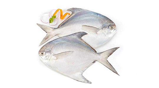 White Pomfret Supplier from Pakistan